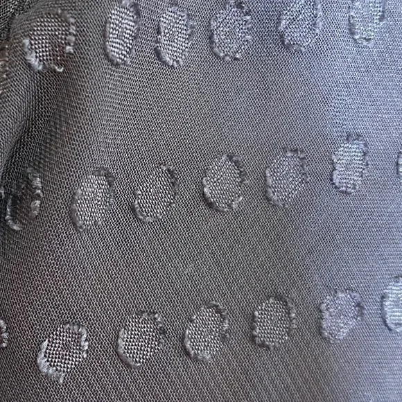 Madewell Swiss Dot Blouse Long Sleeves Gray Ice Leaf Blouse b6940 Top Sheer S - Picture 5 of 7